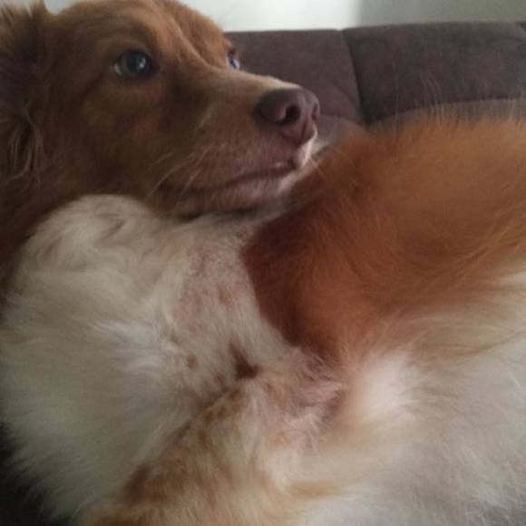 Meet your Posher, Ann - Picture 1 of 1